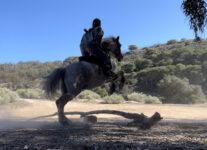 Deportes de Aventura Caballos Melilla High Quality