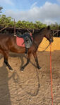 Deportes de Aventura Melilla a Caballo