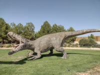 Parque de Aventura Terra Magna - Teruel