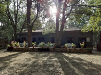 Camping las Cavenes - El Cabaco