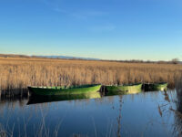 Parque de Aventura Laguna del Cañizar - Villarquemado