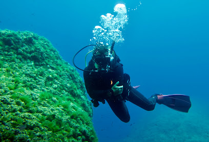 Buceo Sóller Divers - Puerto de Sóller
