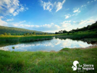 Parque Natural de las Sierras de Cazorla, Segura y Las Villas - La Platera