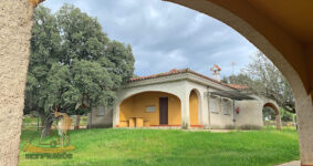 CAMPING MONFRAGUE - Malpartida de Plasencia