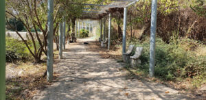 MundoPark Las Pajanosas