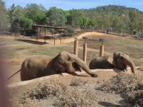 Safari La Reserva Andalucía - Minas del Castillo de las Guardas