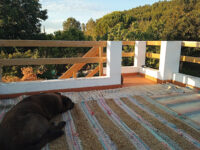 Camping Pan de Trigo - La Codosera