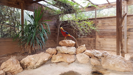 Safari El Jardí dels Ocells - Moja