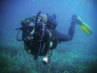 Buceo DIVE&DIVE - Calpe