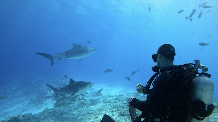 Buceo Bucéanos Diving Experience - Abrera