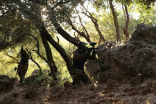 Deportes de Aventura PaintForest Paintball - Valdepeñas de Jaén