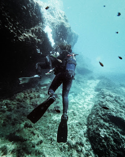 Buceo Andreas-Diving - Tossa de Mar