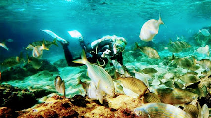 Buceo Zeus Dive Center - Maspalomas