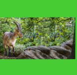 Safari Eco Reserva Ojen